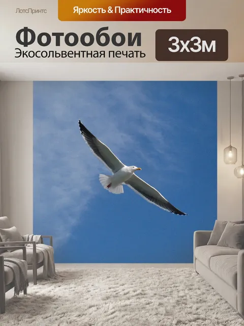 Фотообои Чайка