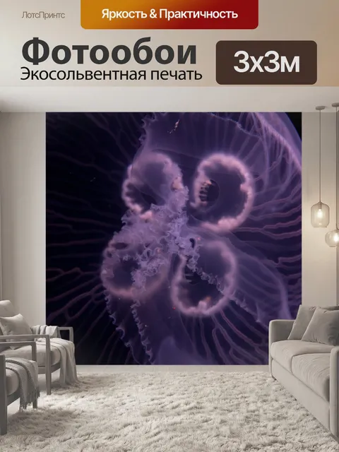 Фотообои медуза