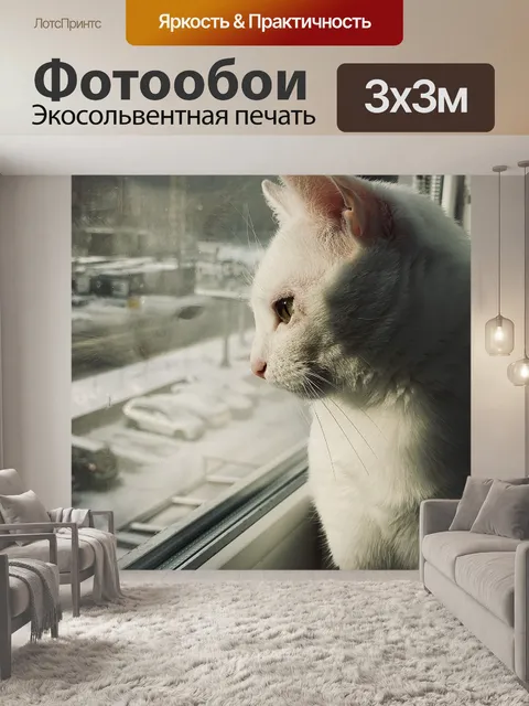 Фотообои Кот
