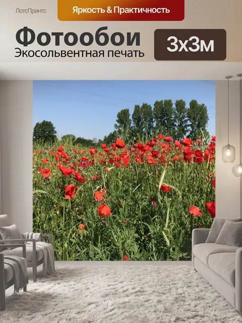 Фотообои Маковое поле