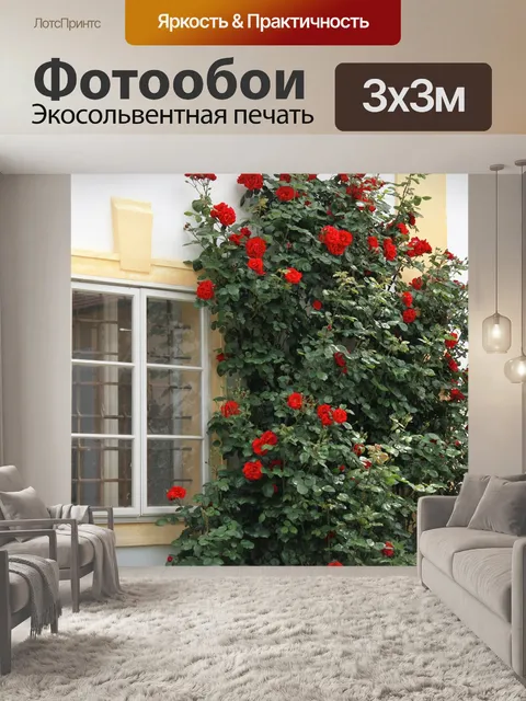Фотообои Окно