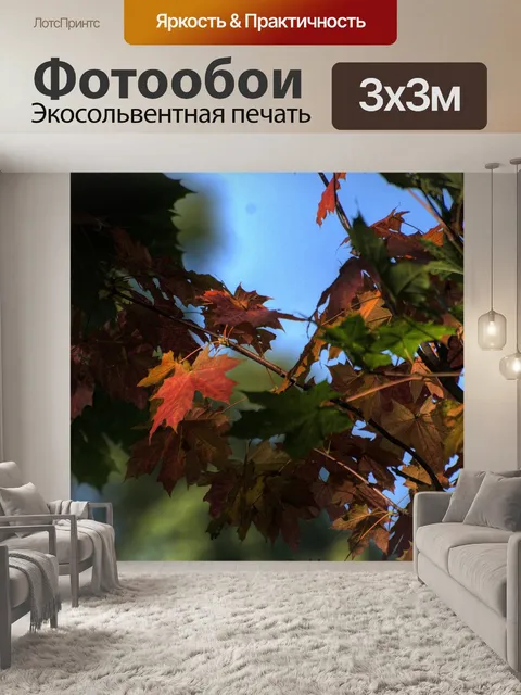 Фотообои Осень