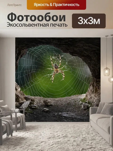 Фотообои Паук