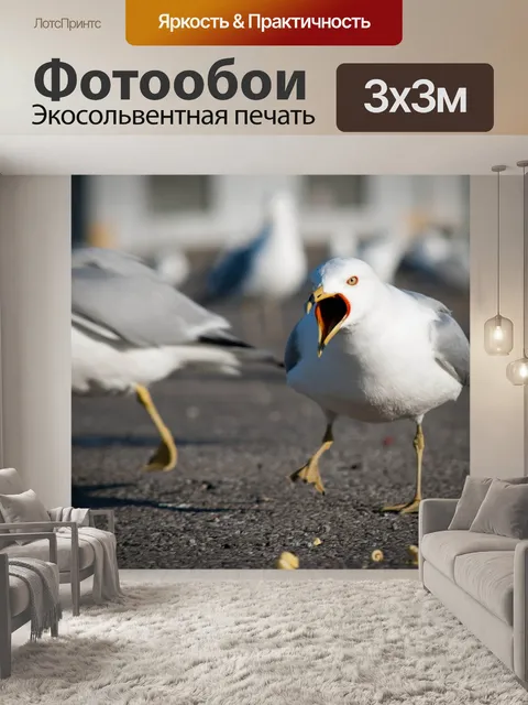 Фотообои Чайки