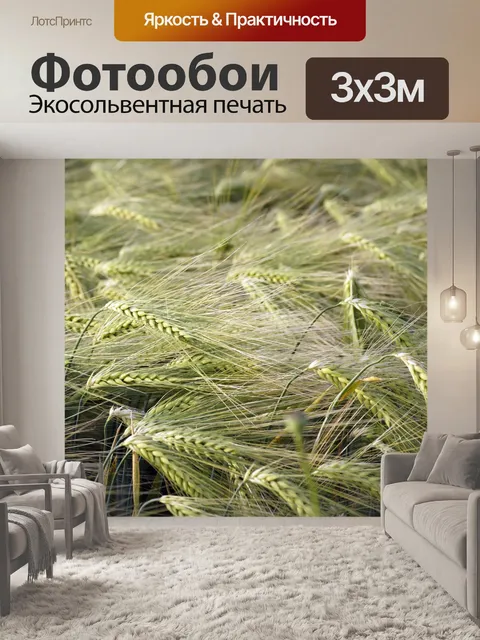 Фотообои Плоды поля ржаного ячменя
