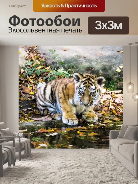 Фотообои Тигр