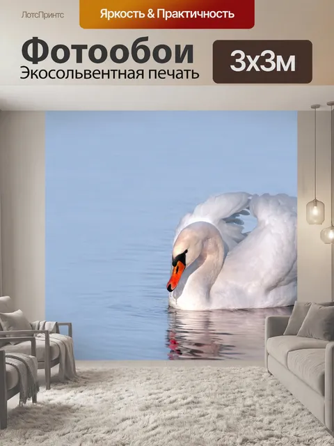 Фотообои Лебединое отражение воды птиц