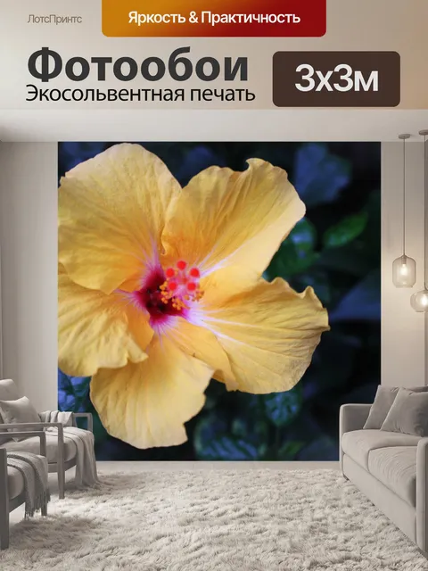 Фотообои Желтый Гумамела