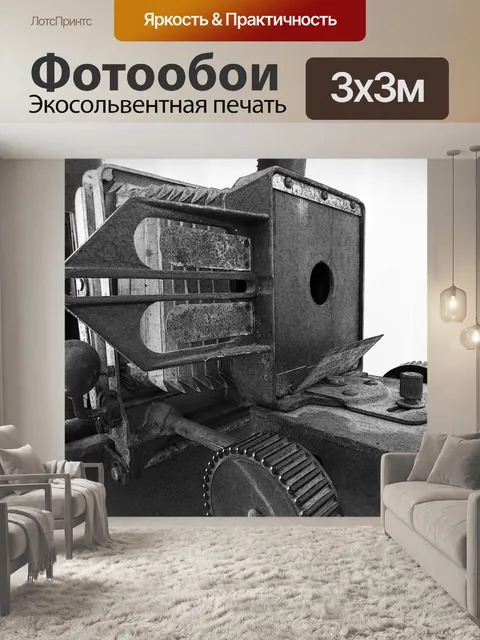 Фотообои Урожай камеры Долли