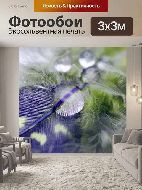 Фотообои Натюрморт фото из перьев капель