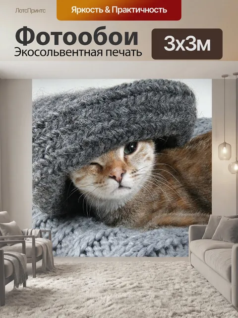 Фотообои Кот
