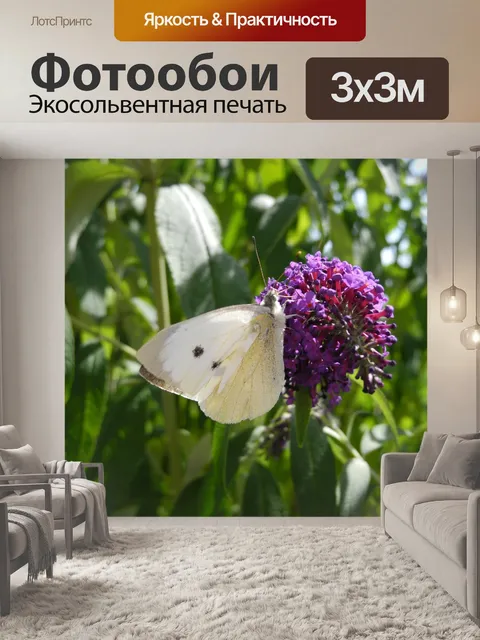Фотообои Бабочка