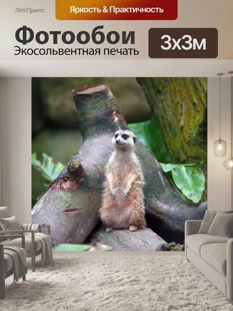 Фотообои Просто глядя вокруг