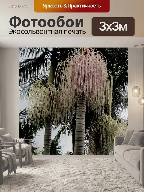 Фотообои пальмовых листьев