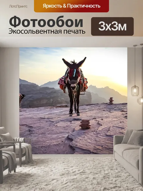 Фотообои Осел