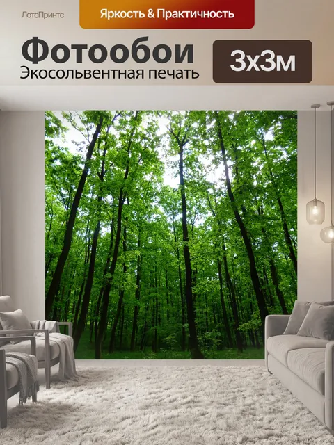 Фотообои Лес