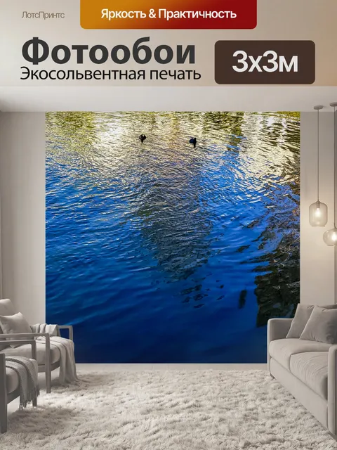 Фотообои Котята на озере