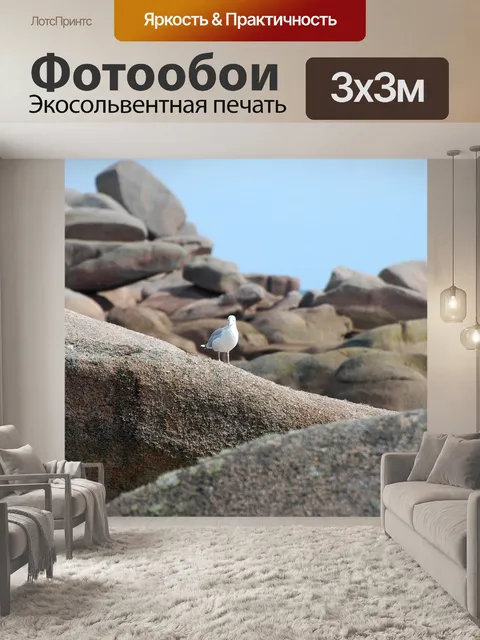 Фотообои Чайка