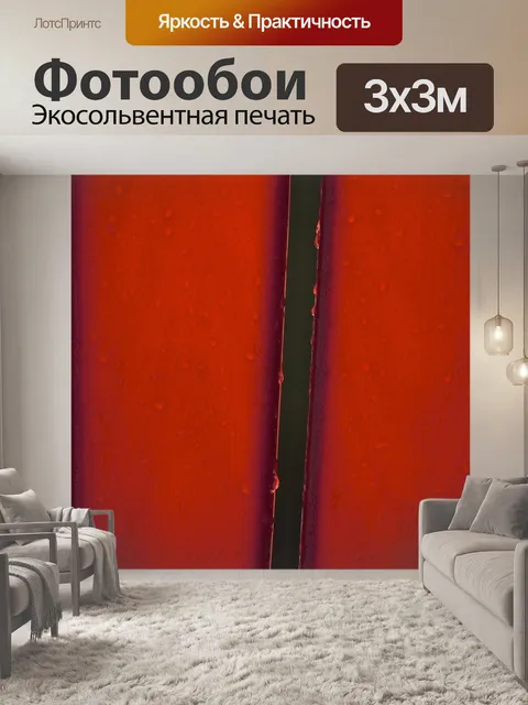 Фотообои Шезлонге