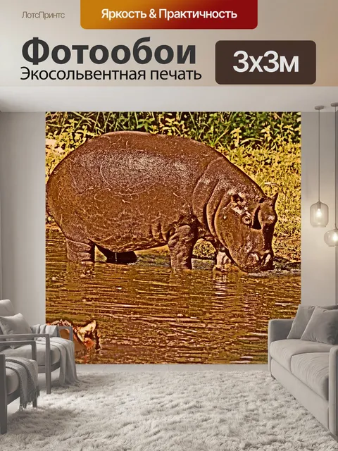 Фотообои Бегемот на воде