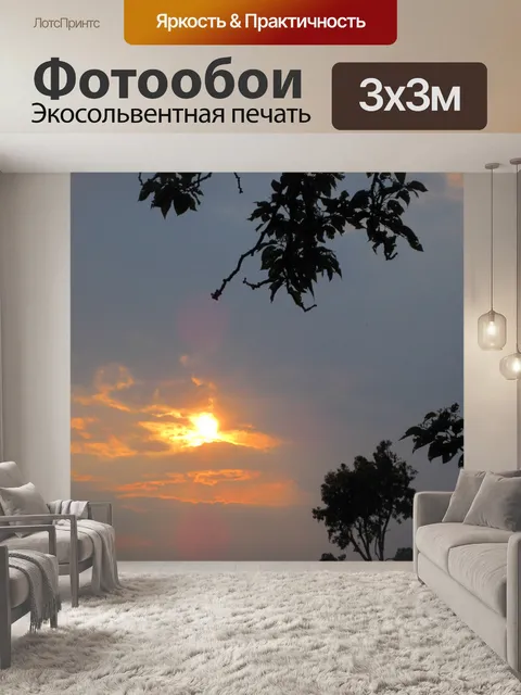 Фотообои Яркое солнце в сером небе