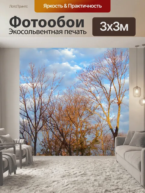 Фотообои Осенние деревья и облака