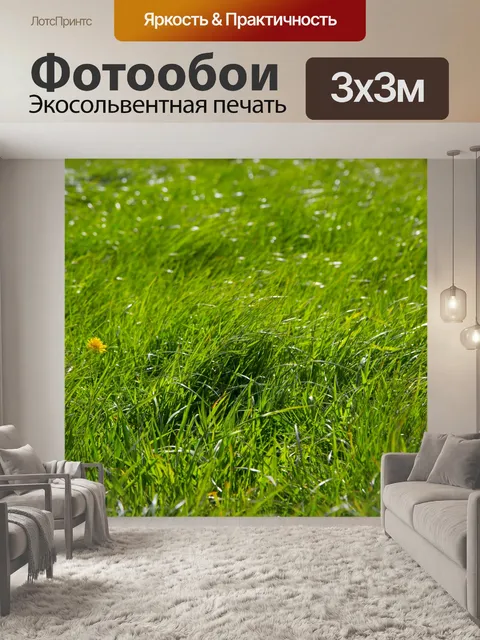 Фотообои Зеленая трава