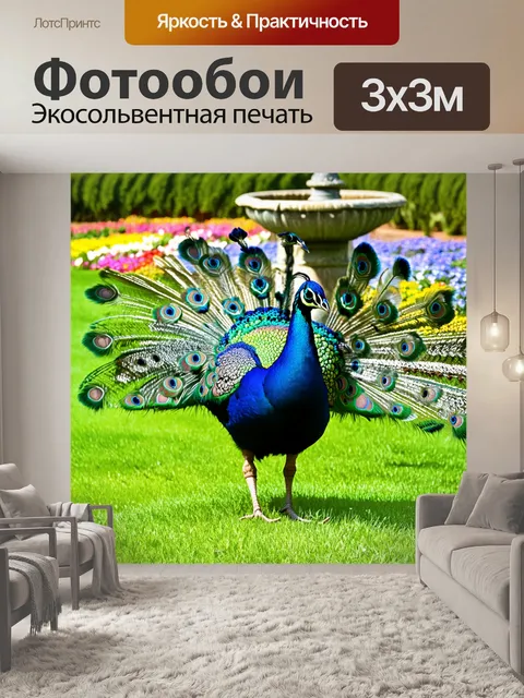 Фотообои грациозный павлин, гуляющий по зеленой траве, его перья ярко окрашены в разные оттенки синего и зеленого с…