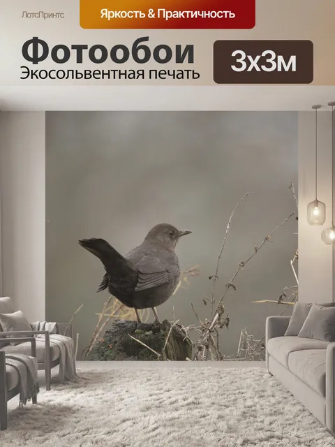 Фотообои Женская черная птица