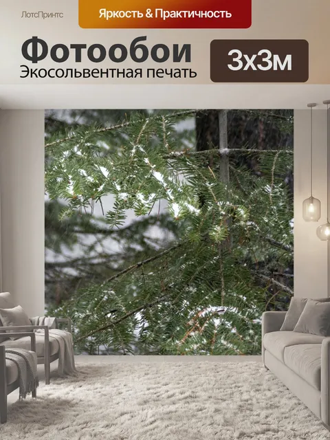 Фотообои ветки сосны