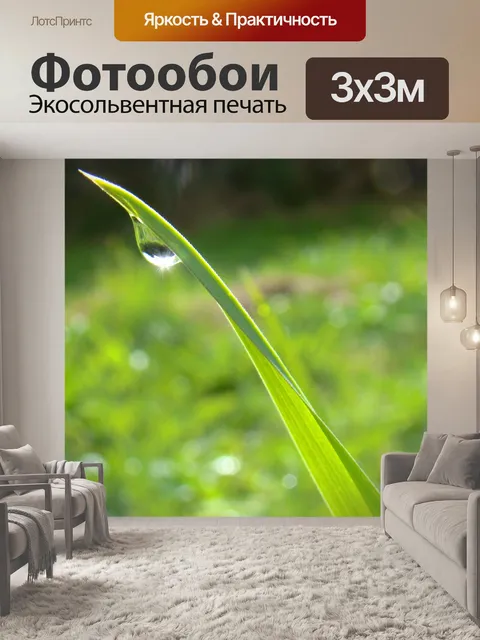 Фотообои Утро Росинка