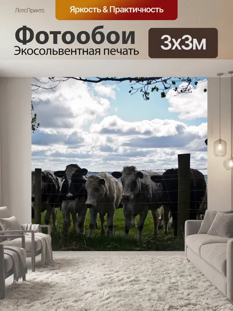 Фотообои Коровы
