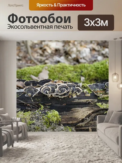 Фотообои Дерево
