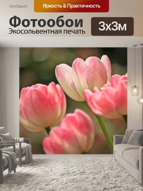 Фотообои Тюльпаны