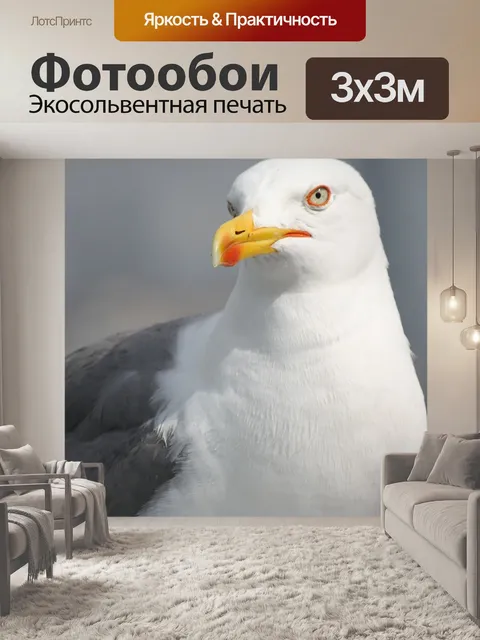 Фотообои Птицы