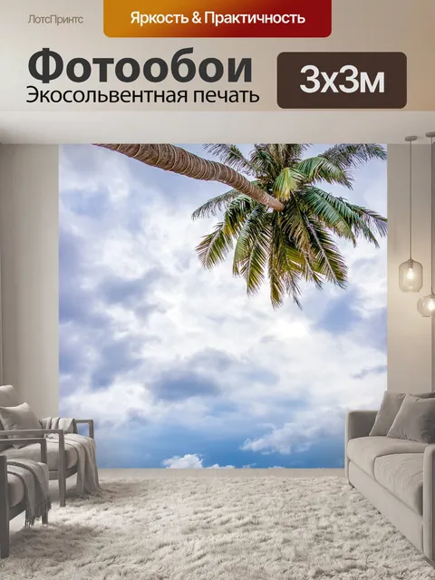 Фотообои Пальма