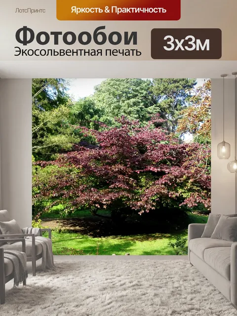 Фотообои Деревья парка