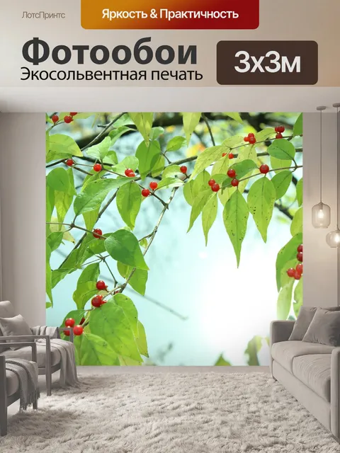 Фотообои Ягоды