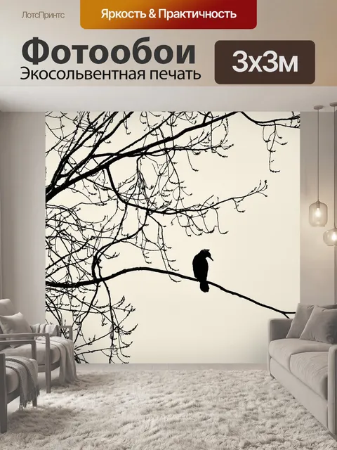 Фотообои Большой баклан