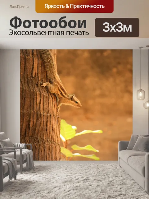 Фотообои Белка
