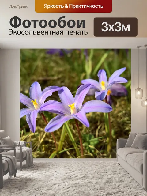 Фотообои Расцветает