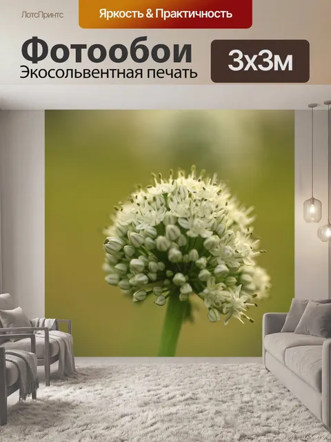 Фотообои Пыльники
