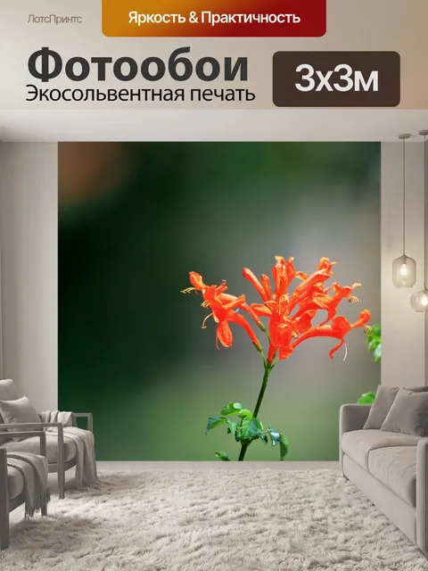 Фотообои оранжевые труба цветы
