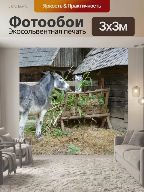 Фотообои Бухарест