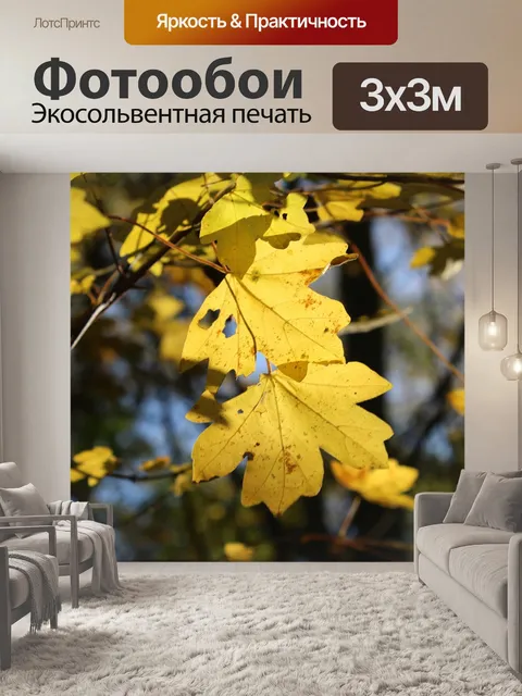 Фотообои Листья