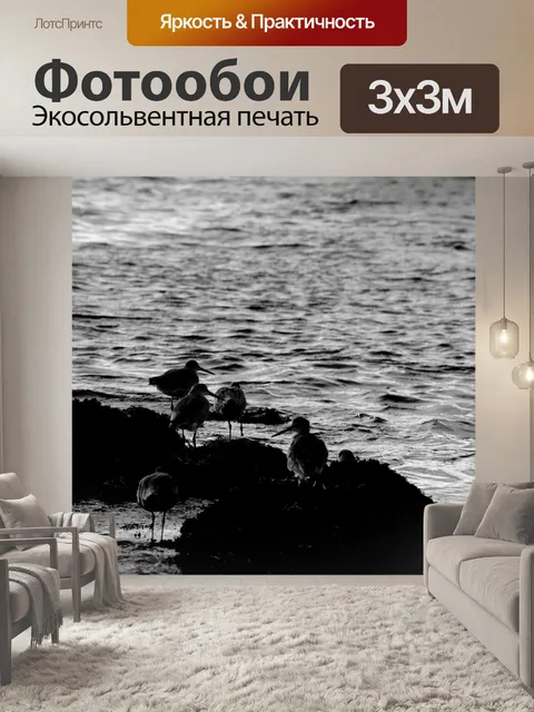 Фотообои Силуэты птиц