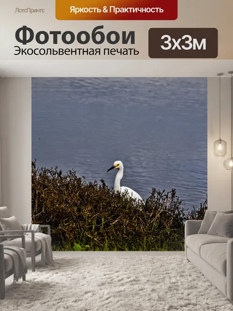 Фотообои Белая цапля на пляже