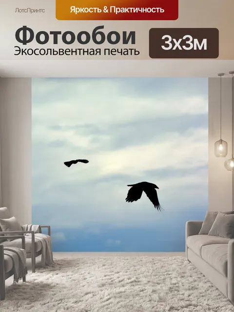 Фотообои Птицы в небе