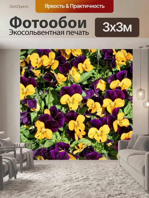 Фотообои Цветок