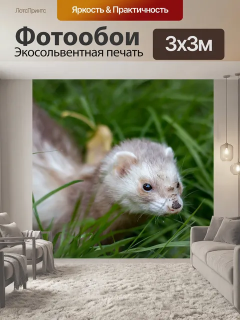 Фотообои Небольшой